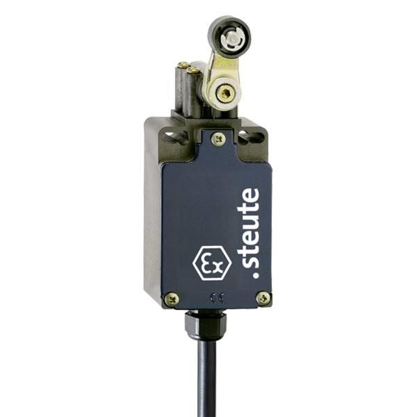 96021302 Steute  Ex Position switch Ex T 356 4VH 2m IP65 (1NC/1NO) II 2G Ex de IIC T6